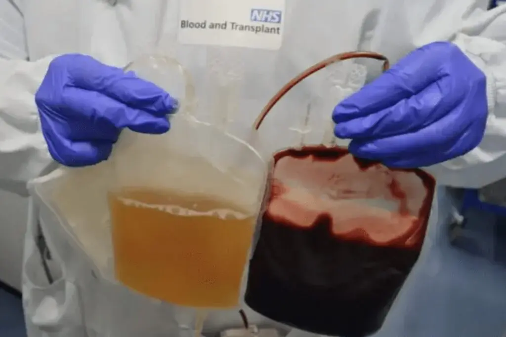 Blood and plasma bags