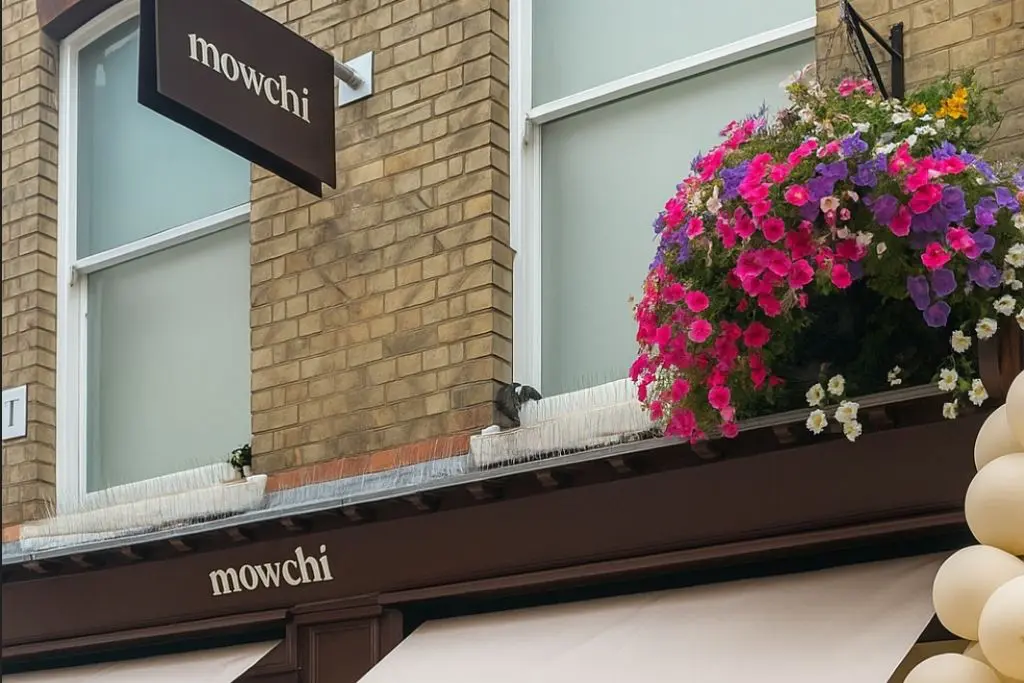mowchi signage along high street