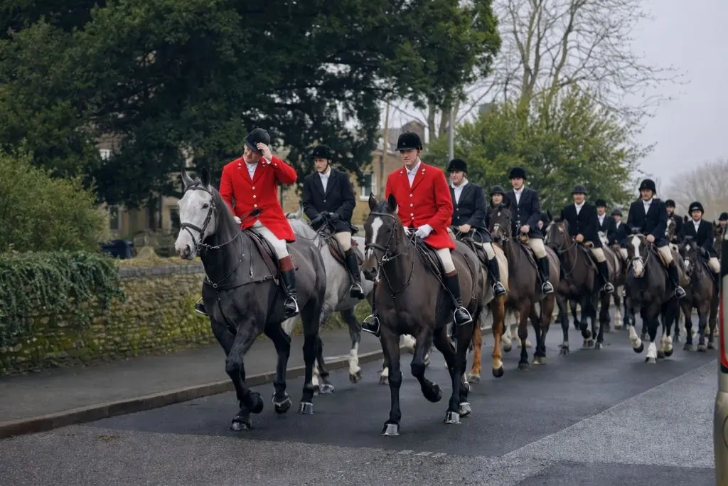 Kent Hounds face final Boxing Day outing, Gov’t confirms trail hunting ban